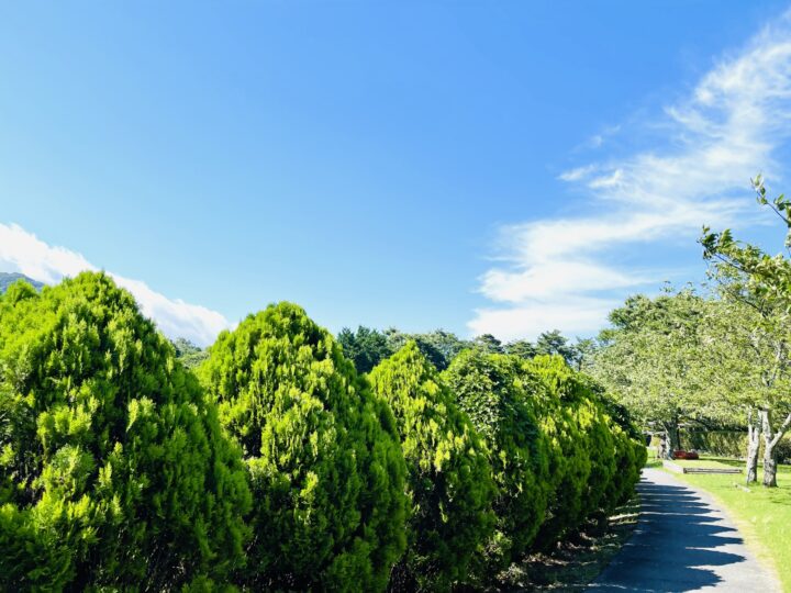 相続をうける方へ|遺産分割・放棄対応の画像