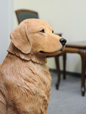 事務所案内|小山晃法律事務所|相続・法律相談に丁寧対応の画像